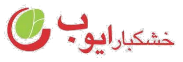 ایوب